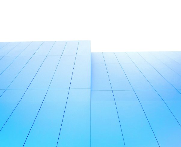 Essentials for choosing the right software